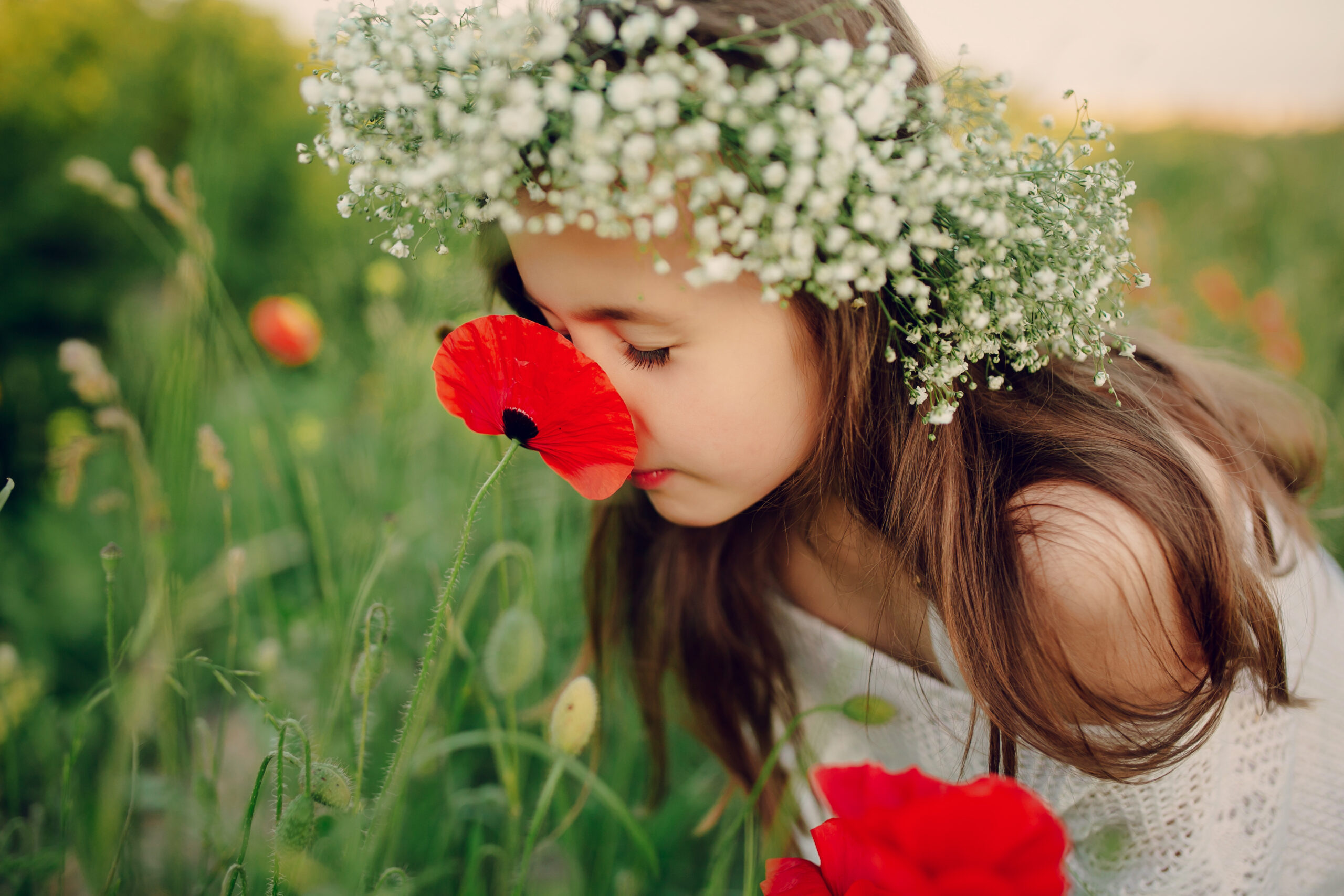 beautiful little girl in a wreath of poppies
